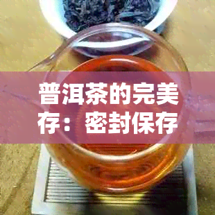 普洱茶的完美存：密封保存的艺术与科学