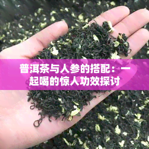 普洱茶与人参的搭配：一起喝的惊人功效探讨