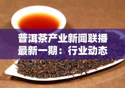 普洱茶产业新闻联播最新一期：行业动态与发展趋势