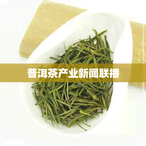 普洱茶产业新闻联播