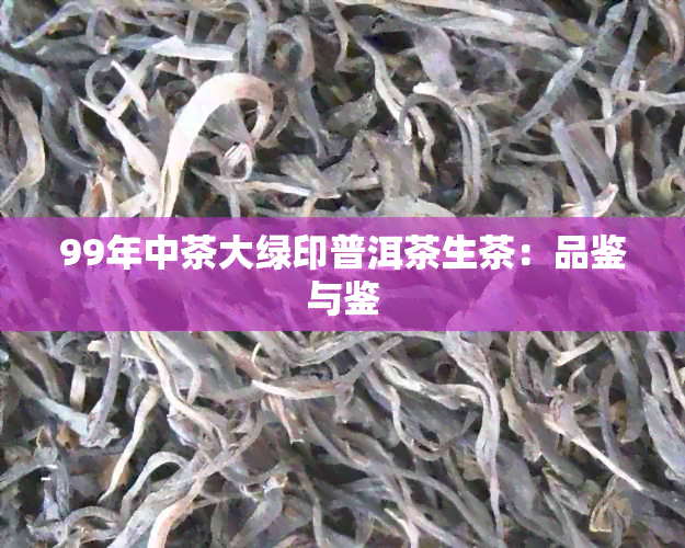 99年中茶大绿印普洱茶生茶：品鉴与鉴