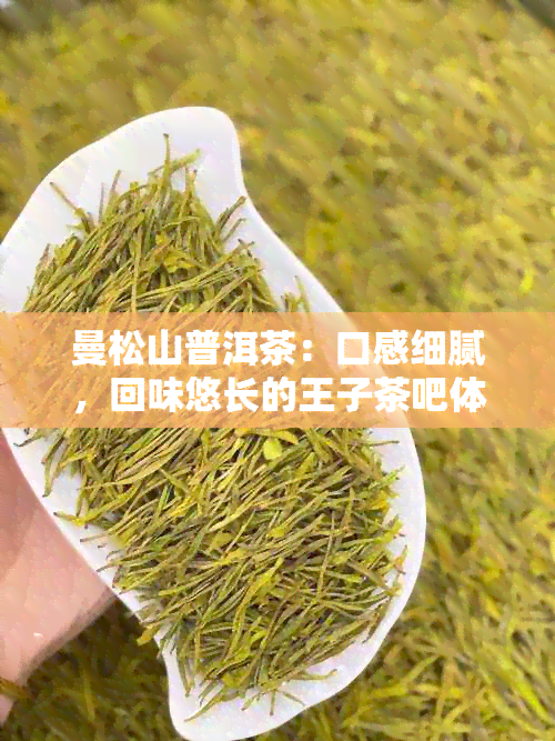 曼松山普洱茶：口感细腻，回味悠长的王子茶吧体验