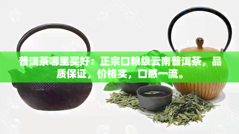 普洱茶哪里买好：正宗口粮级云南普洱茶，品质保证，价格实，口感一流。