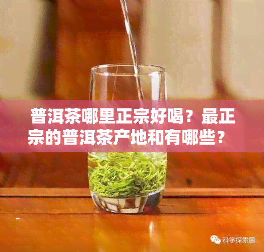 普洱茶哪里正宗好喝？最正宗的普洱茶产地和有哪些？ - 百度百科