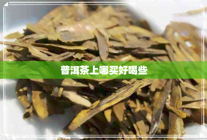 普洱茶上哪买好喝些