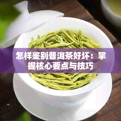 怎样鉴别普洱茶好坏：掌握核心要点与技巧