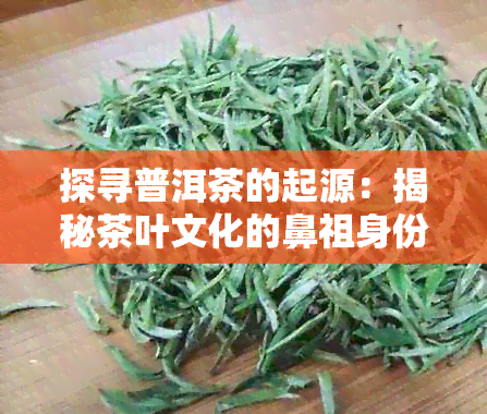 探寻普洱茶的起源：揭秘茶叶文化的鼻祖身份