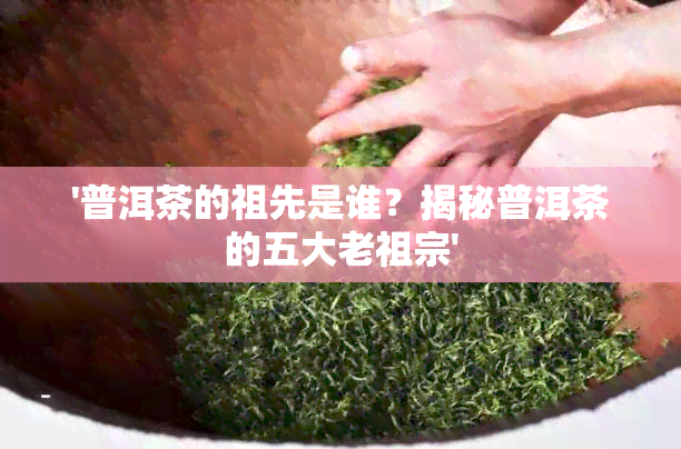 '普洱茶的祖先是谁？揭秘普洱茶的五大老祖宗'