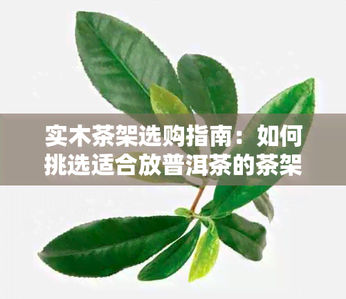 实木茶架选购指南：如何挑选适合放普洱茶的茶架，以及保养方法