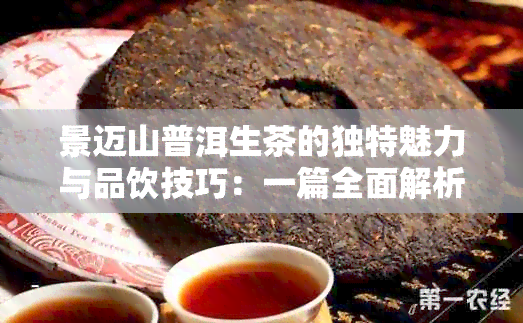 景迈山普洱生茶的独特魅力与品饮技巧：一篇全面解析