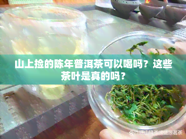 山上捡的陈年普洱茶可以喝吗？这些茶叶是真的吗？