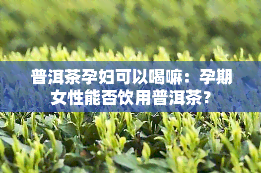 普洱茶孕妇可以喝嘛：孕期女性能否饮用普洱茶？