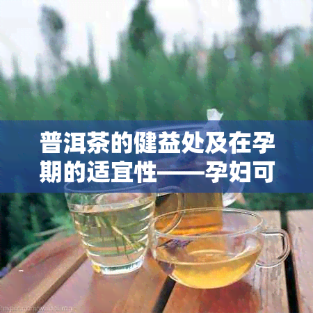 普洱茶的健益处及在孕期的适宜性——孕妇可适量饮用以维护身体健