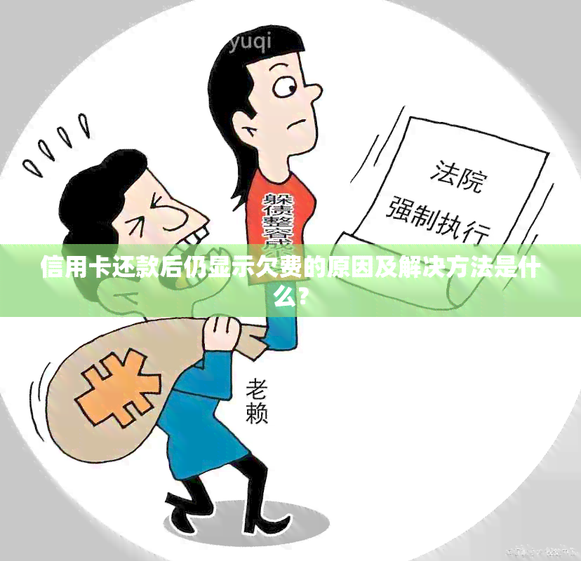 信用卡还款后仍显示欠费的原因及解决方法是什么？