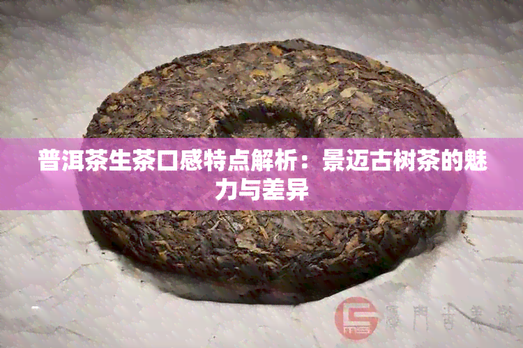 普洱茶生茶口感特点解析：景迈古树茶的魅力与差异