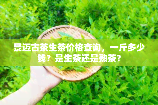 景迈古茶生茶价格查询，一斤多少钱？是生茶还是熟茶？