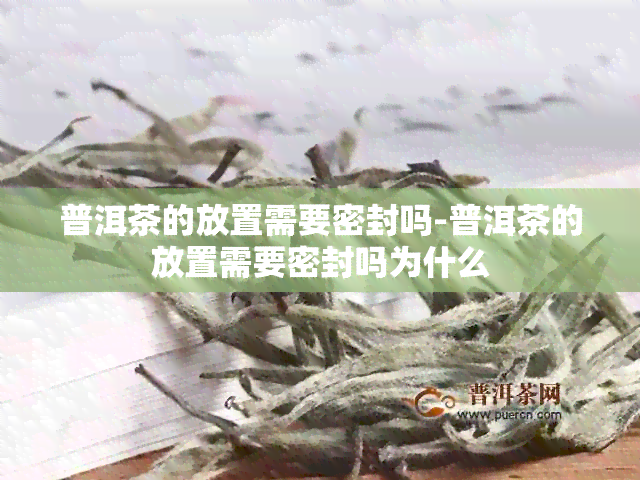 普洱茶的放置需要密封吗-普洱茶的放置需要密封吗为什么