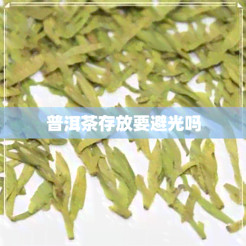 普洱茶存放要避光吗