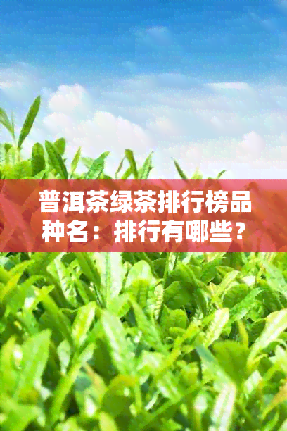 普洱茶绿茶排行榜品种名：排行有哪些？