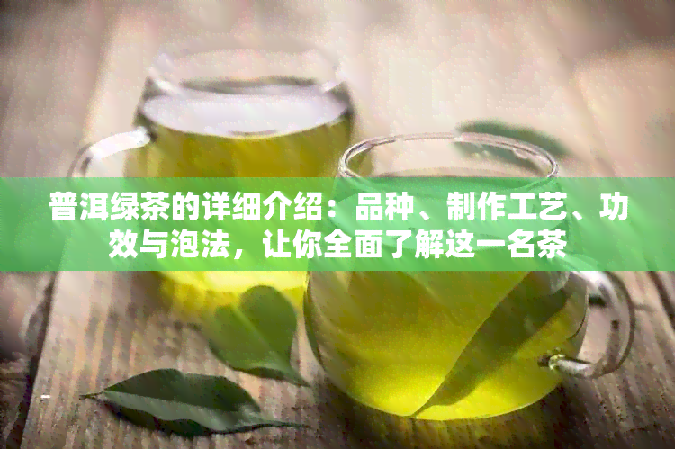 普洱绿茶的详细介绍：品种、制作工艺、功效与泡法，让你全面了解这一名茶