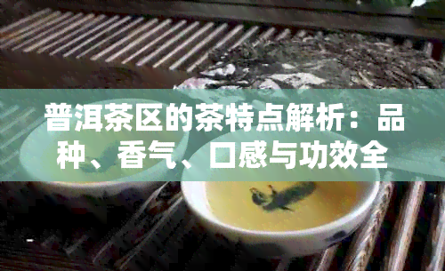 普洱茶区的茶特点解析：品种、香气、口感与功效全方位解析