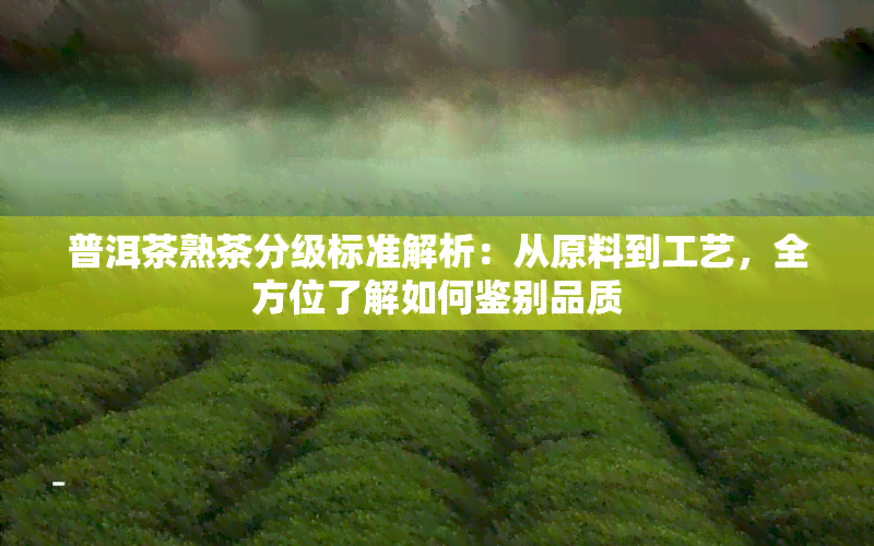 普洱茶熟茶分级标准解析：从原料到工艺，全方位了解如何鉴别品质