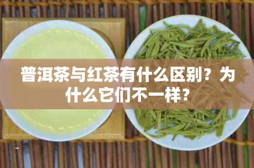 普洱茶与红茶有什么区别？为什么它们不一样？