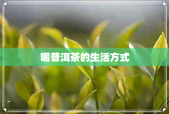 喝普洱茶的生活方式