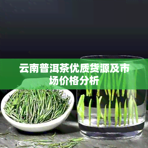 云南普洱茶优质货源及市场价格分析