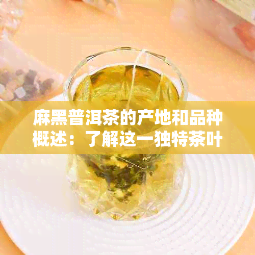 麻黑普洱茶的产地和品种概述：了解这一独特茶叶的途径