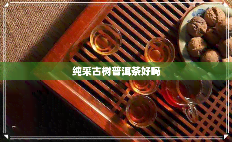 纯采古树普洱茶好吗