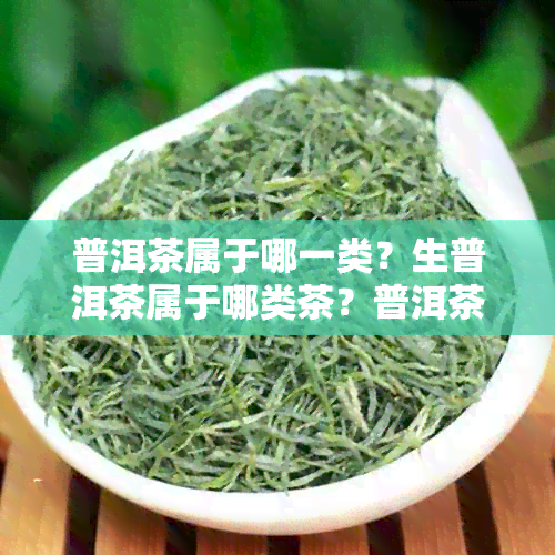 普洱茶属于哪一类？生普洱茶属于哪类茶？普洱茶属于哪种茶？