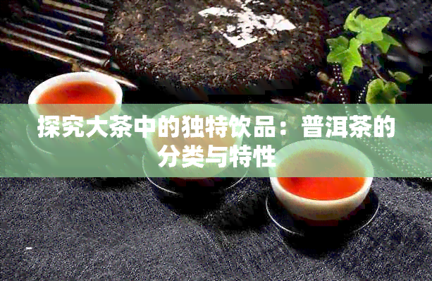 探究大茶中的独特饮品：普洱茶的分类与特性