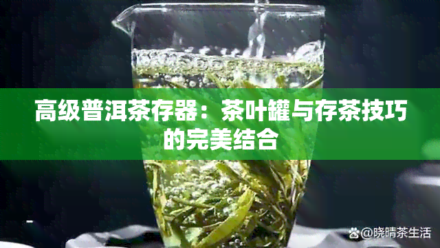 高级普洱茶存器：茶叶罐与存茶技巧的完美结合