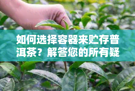 如何选择容器来贮存普洱茶？解答您的所有疑问