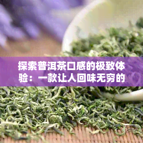 探索普洱茶口感的极致体验：一款让人回味无穷的茶品推荐