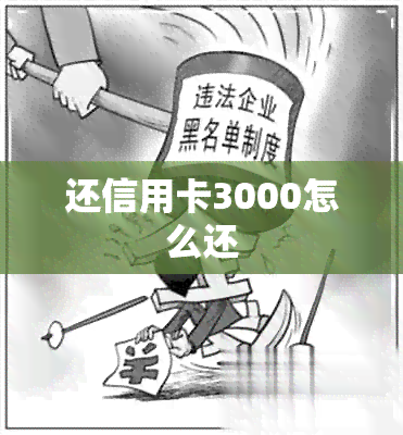 还信用卡3000怎么还