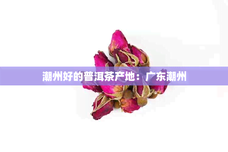 潮州好的普洱茶产地：广东潮州