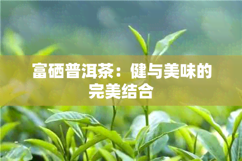 富硒普洱茶：健与美味的完美结合