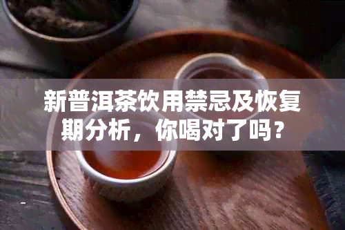 新普洱茶饮用禁忌及恢复期分析，你喝对了吗？