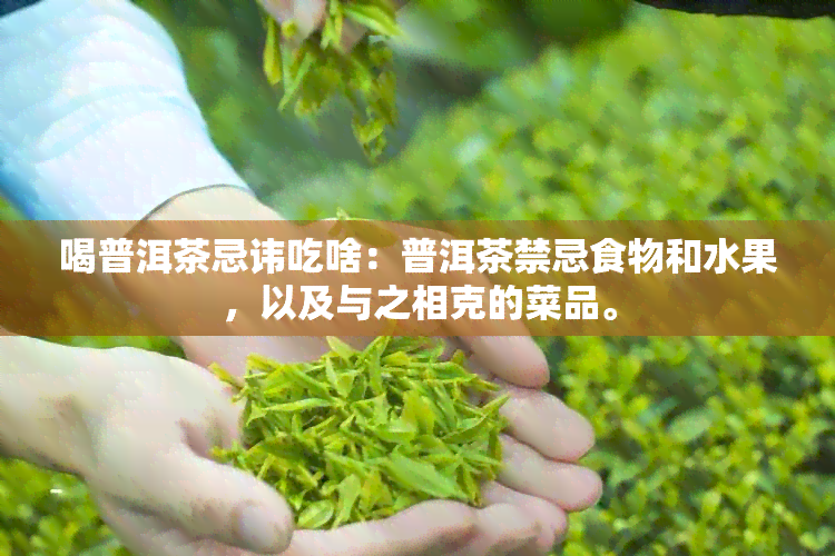 喝普洱茶忌讳吃啥：普洱茶禁忌食物和水果，以及与之相克的菜品。