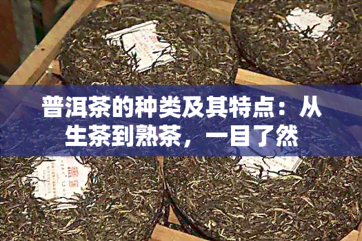 普洱茶的种类及其特点：从生茶到熟茶，一目了然