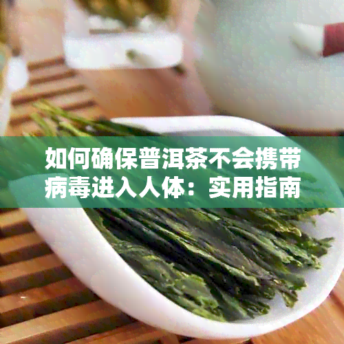 如何确保普洱茶不会携带病进入人体：实用指南