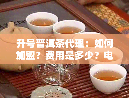 升号普洱茶代理：如何加盟？费用是多少？电话咨询！