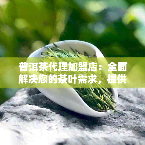 普洱茶代理加盟店：全面解决您的茶叶需求，提供专业加盟支持与品质保证