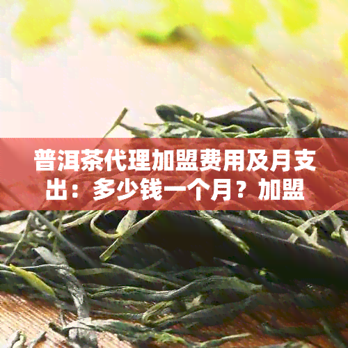 普洱茶代理加盟费用及月支出：多少钱一个月？加盟大概多少钱？