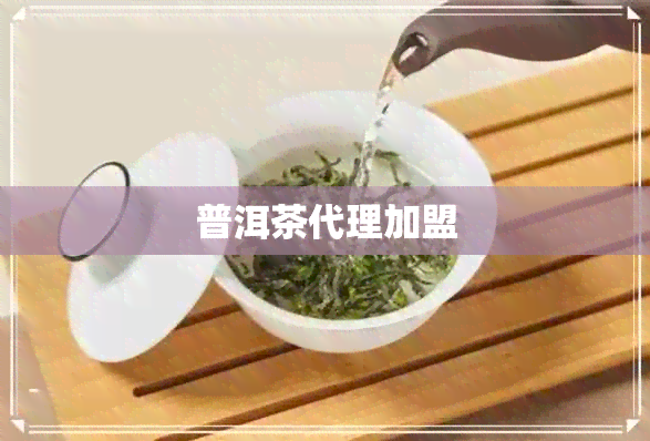 普洱茶代理加盟