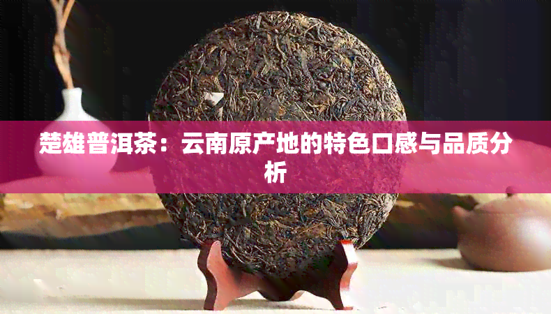 楚雄普洱茶：云南原产地的特色口感与品质分析