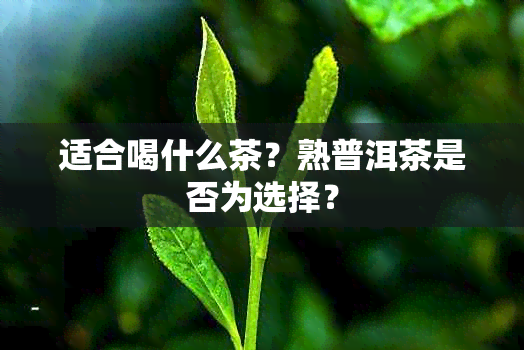 适合喝什么茶？熟普洱茶是否为选择？