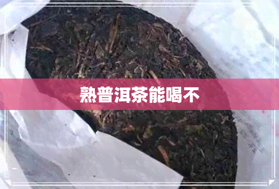 熟普洱茶能喝不